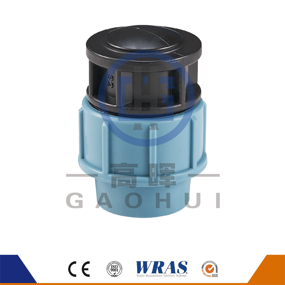 Version italienne PP End Cap P-038