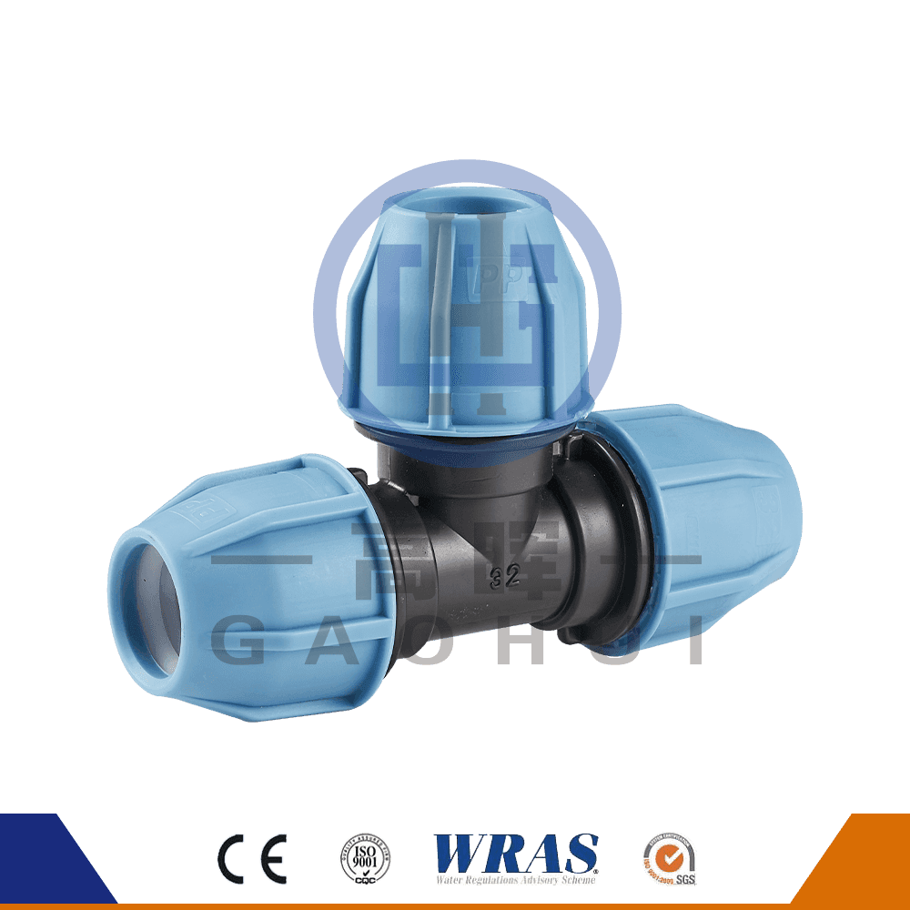 Tête ronde pp égal tee p-022